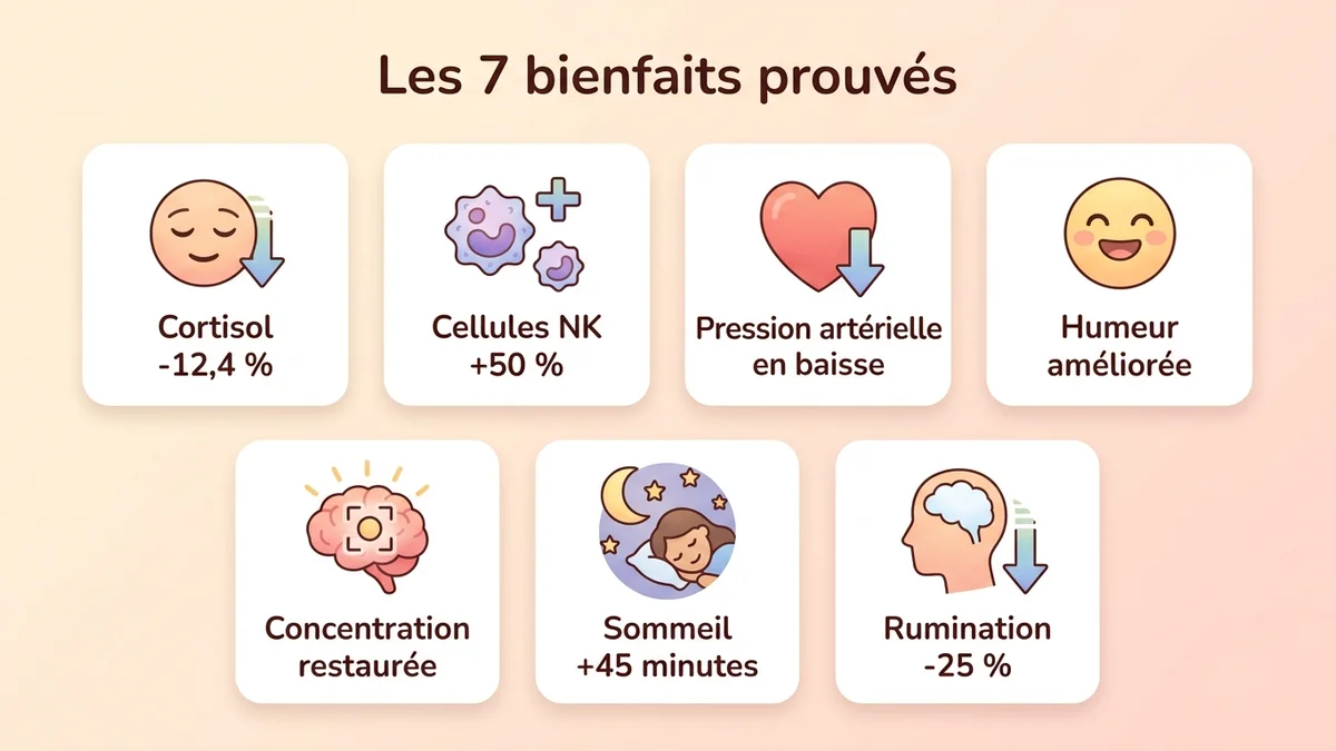 Infographie présentant les sept bienfaits du bain de forêt avec des données chiffrées : cortisol moins 12 pour cent, cellules NK plus 50 pour cent, pression artérielle en baisse, humeur améliorée, concentration augmentée, sommeil de qualité, anxiété réduite