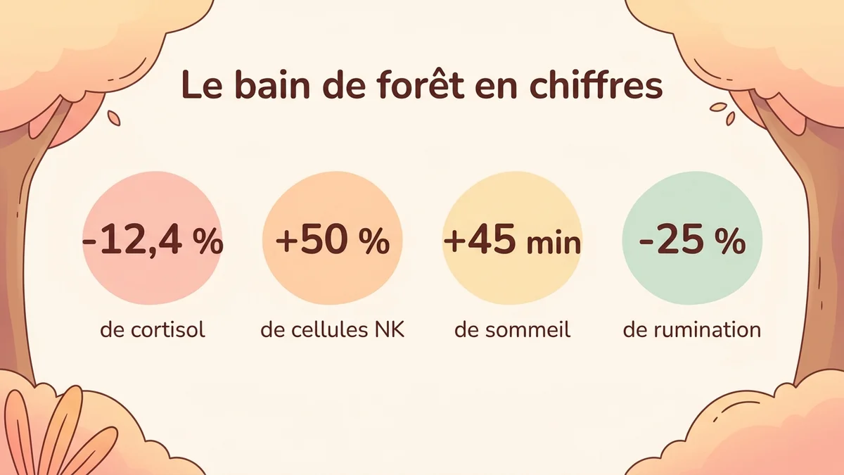 Infographie résumant les statistiques clés des bienfaits du bain de forêt : pourcentages de réduction du cortisol, augmentation des cellules NK, amélioration du sommeil et baisse de la rumination mentale